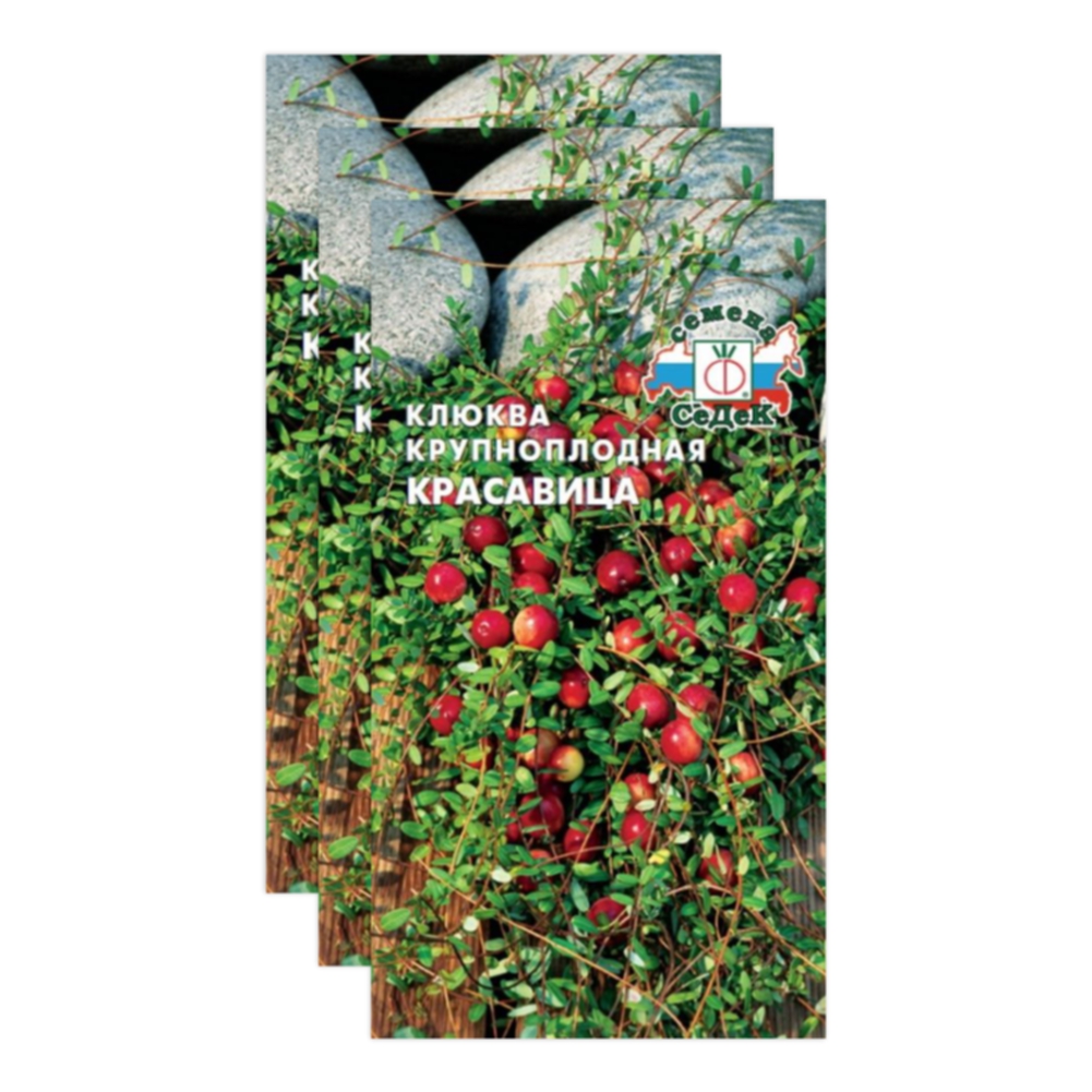 Комплект семян клюква Красавица Седек Среднепоздние 23-04483 3 упаковки