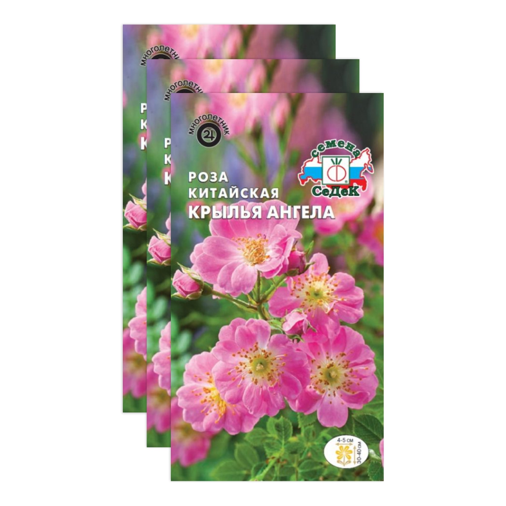Комплект семян роза Крылья ангела Седек Многолетние 23-04451 3 упаковки