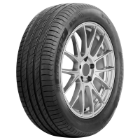 

Шины Delinte DS2 225/55/R17 101W, DS2