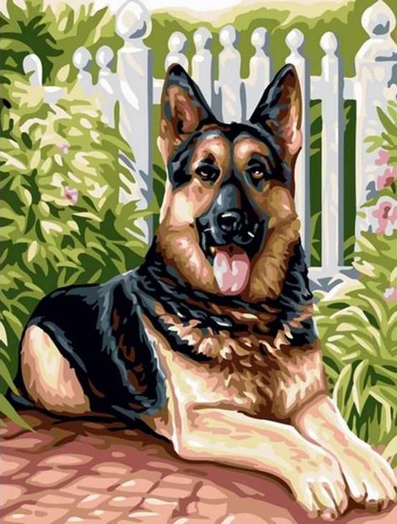

Картина по номерам Paintboy Немецкая овчарка, 30x40 см, Немецкая овчарка