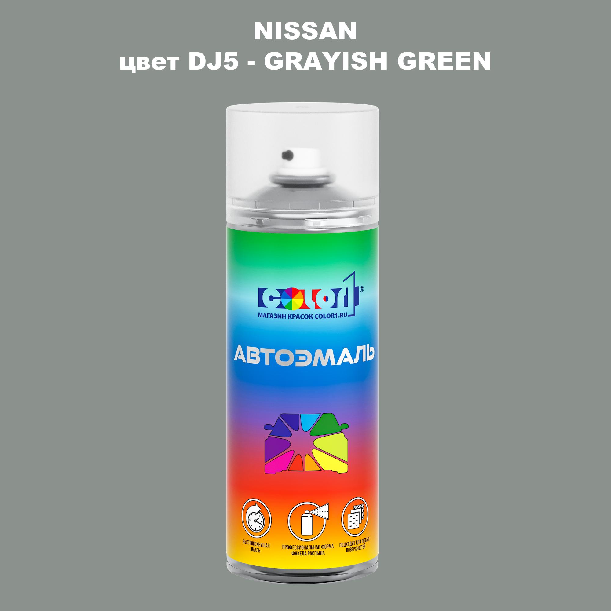 

Аэрозольная краска COLOR1 для NISSAN, цвет DJ5 - GRAYISH GREEN, Зеленый