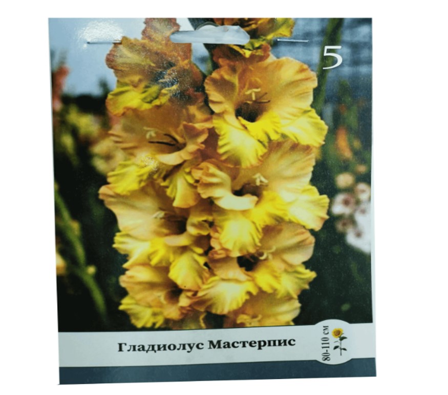 

Гладиолус Семена для Сибири Мастерпис 5 шт