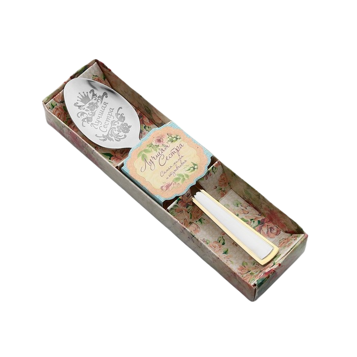 Ложка с гравировкой чайная в подарочной коробке «Лучшая сестра»