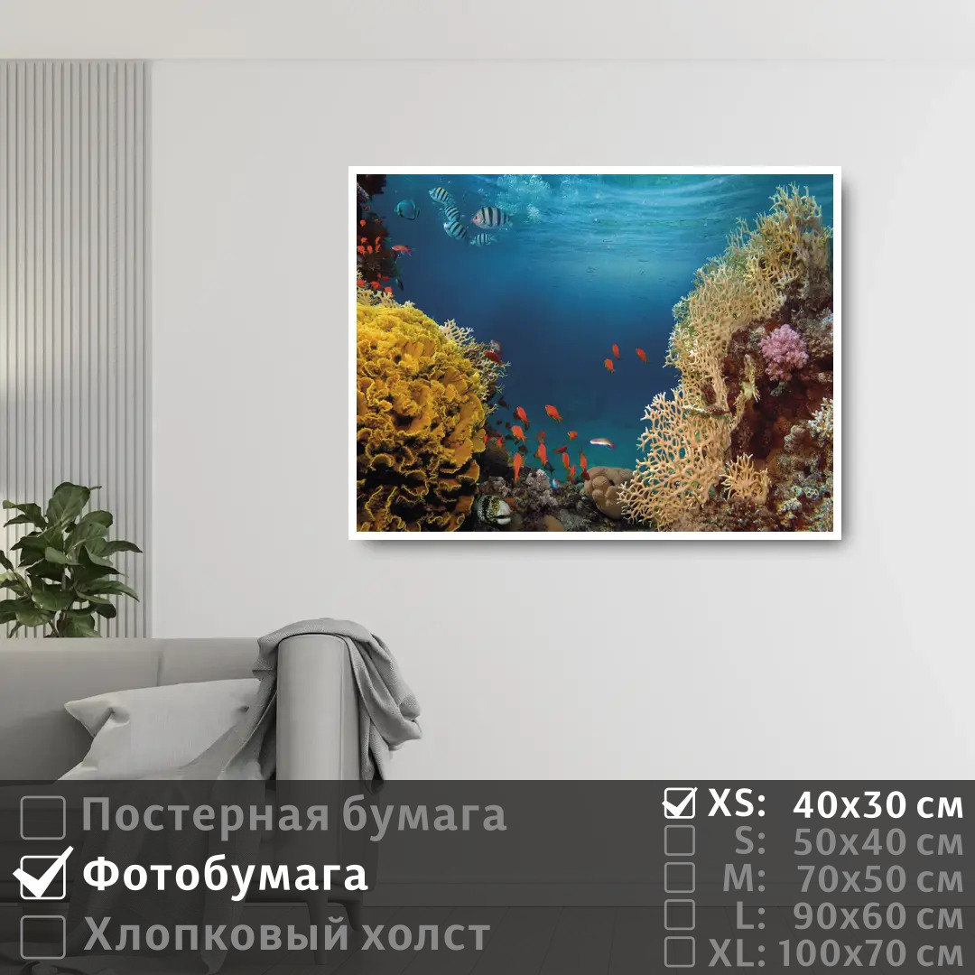 

Постер на фотобумаге ПолиЦентр Морские рыбки в коралловых рифах 40х30 см, МорскиеРыбкиВКоралловыхРифах