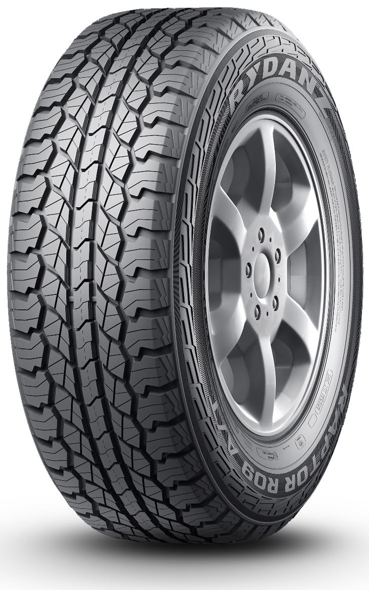 

Шина Rydanz Raptor R09 255/70R16 111S, Raptor R09