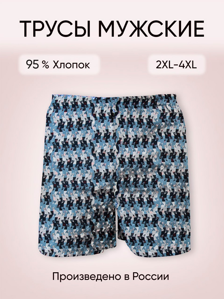 Трусы мужские XoXoLook 2024 синие 2XL