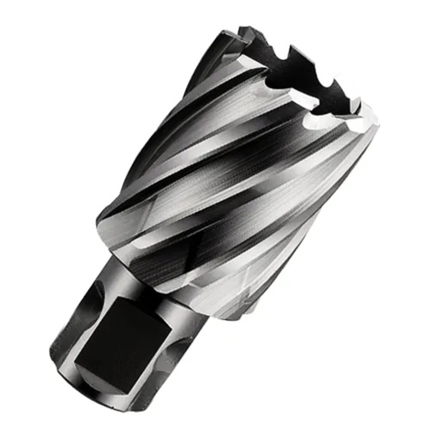 

Фреза GARWIN INDUSTRIAL 102805-26 кольц. 26мм WELDON/NITTO Ф19,05мм HSS гл-на Lap25мм