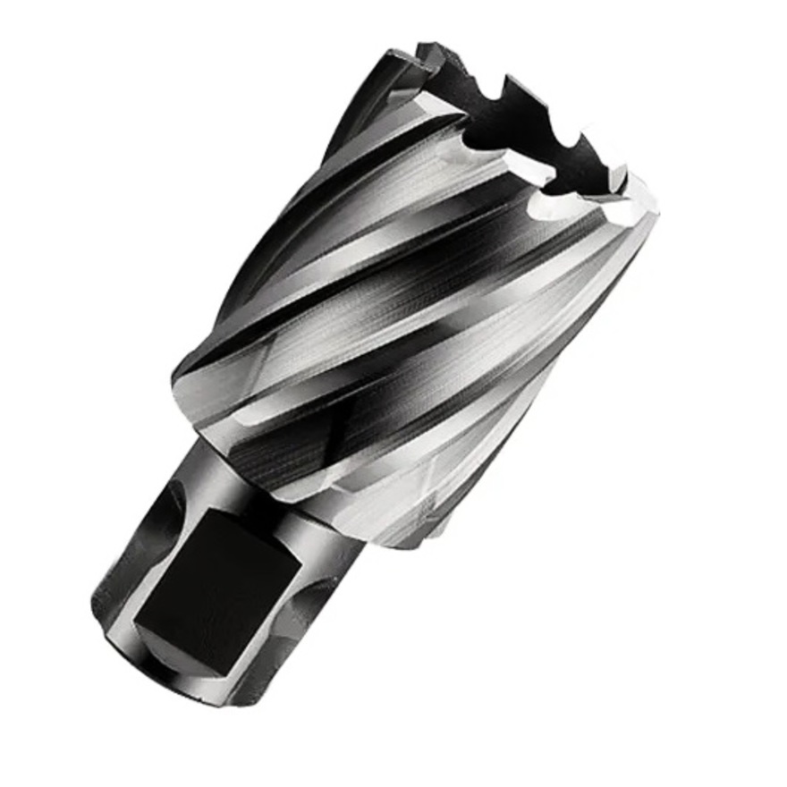 

Фреза GARWIN INDUSTRIAL 102805-12 кольц. 12мм WELDON/NITTO Ф19,05мм HSS гл-на Lap25мм