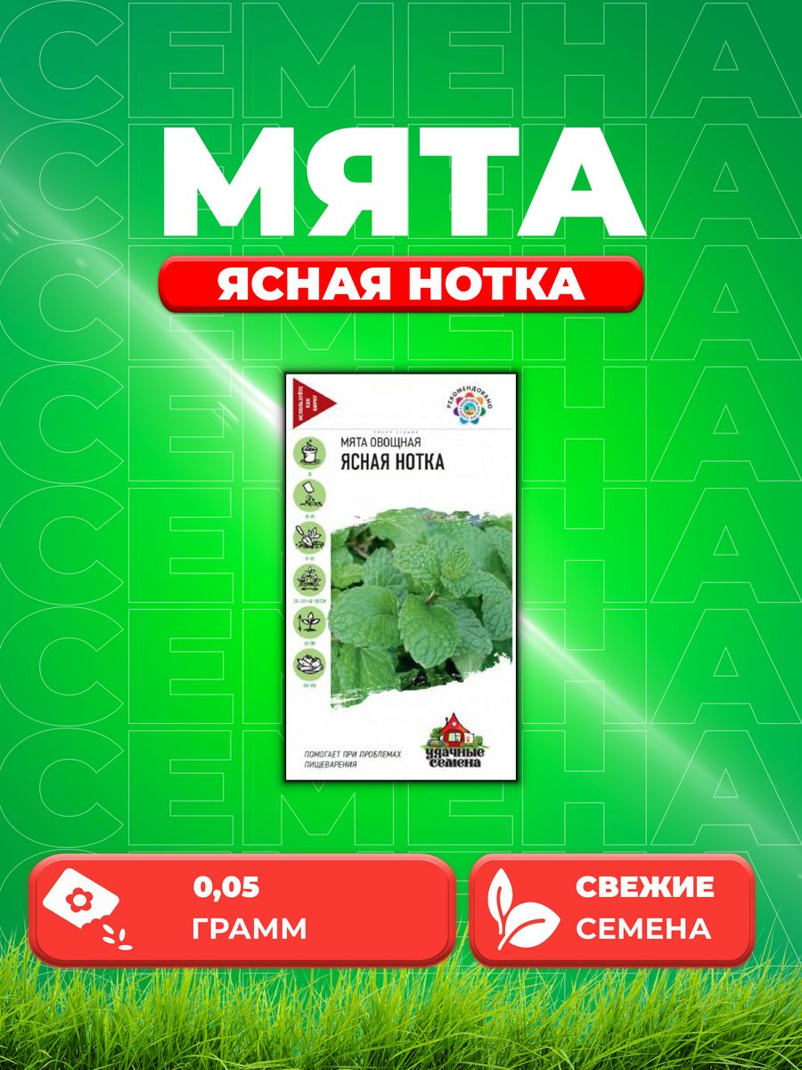 

Семена Мята Ясная нотка, 0,05г, Удачные