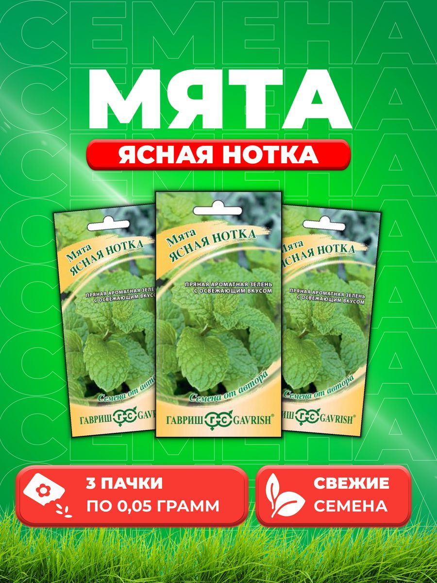 Семена Мяты Купить Недорого