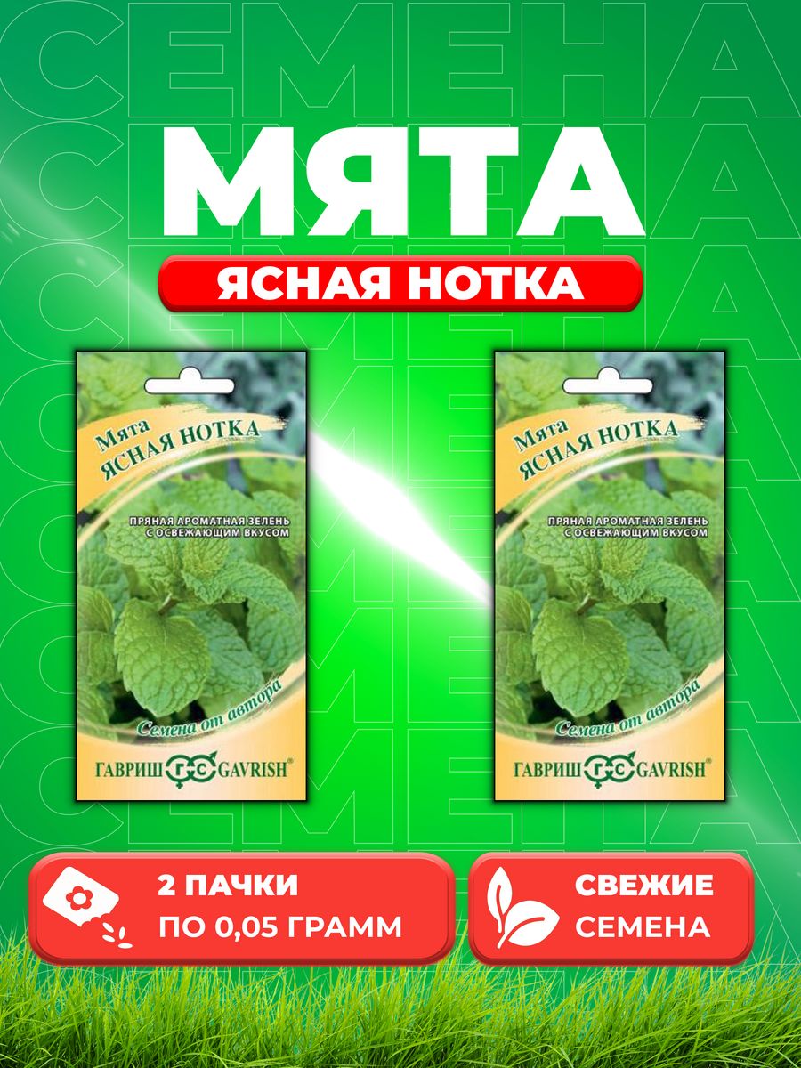 Семена Мяты Купить Недорого