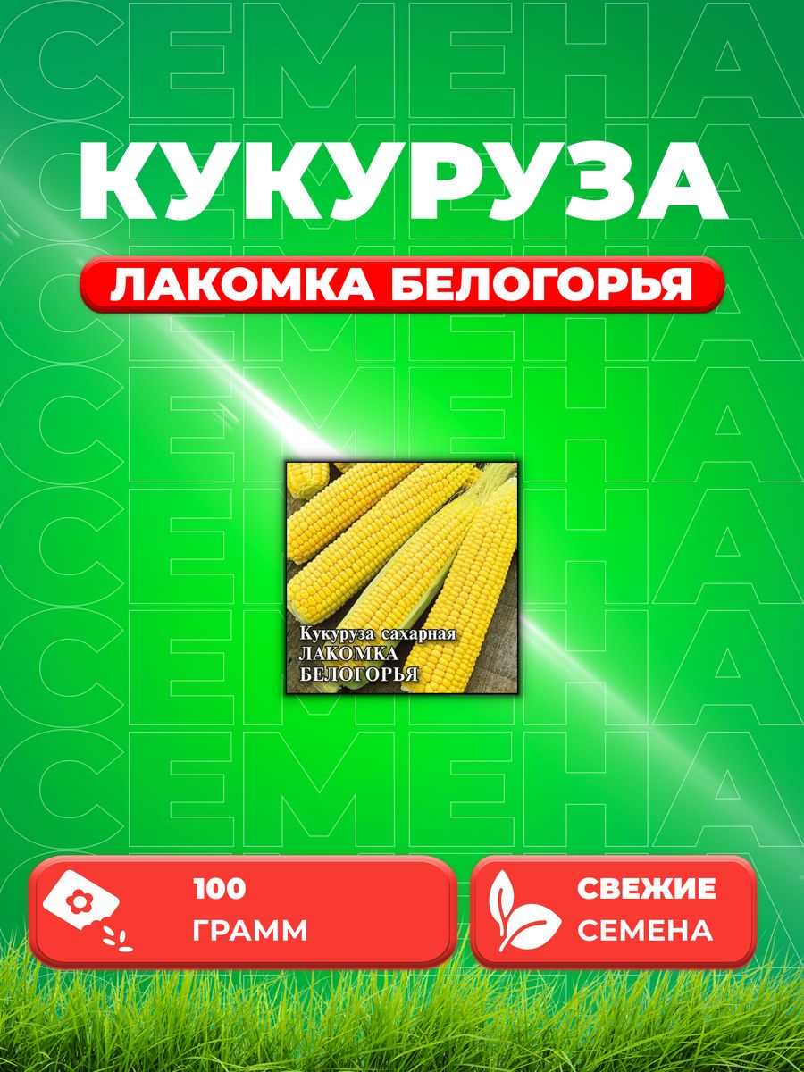 

Семена кукуруза Лакомка Белогорья Гавриш 191223901-1 1 уп.