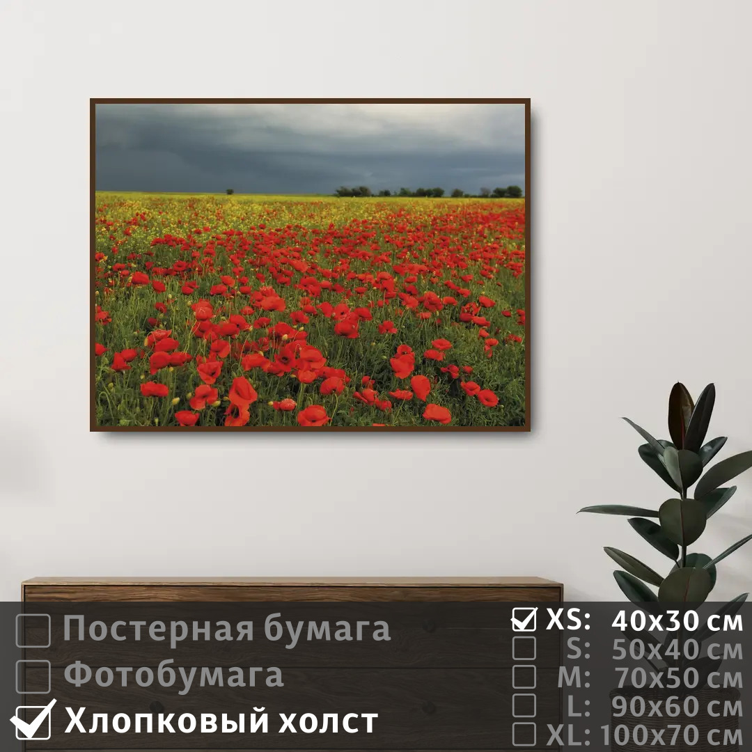 

Постер на холсте ПолиЦентр Весенние полевые цветы маки 40х30 см, ВесенниеПолевыеЦветыМаки