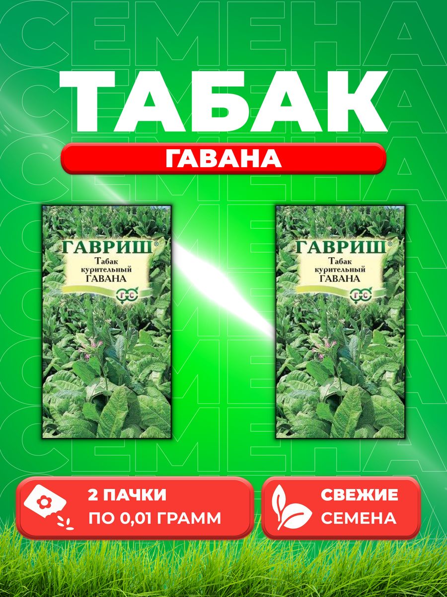 

Семена Табак курительный Гавана, розовоцветковый, 0,01 г 2уп