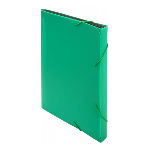 фото Упаковка портфелей бюрократ -bpr13grn, 13 отд., a4, пластик, 0.7мм, зеленый