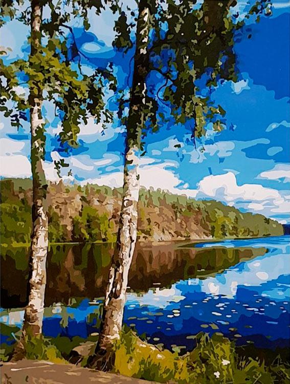 

Картина по номерам Paintboy Русские просторы, 40x50 см, Русские просторы