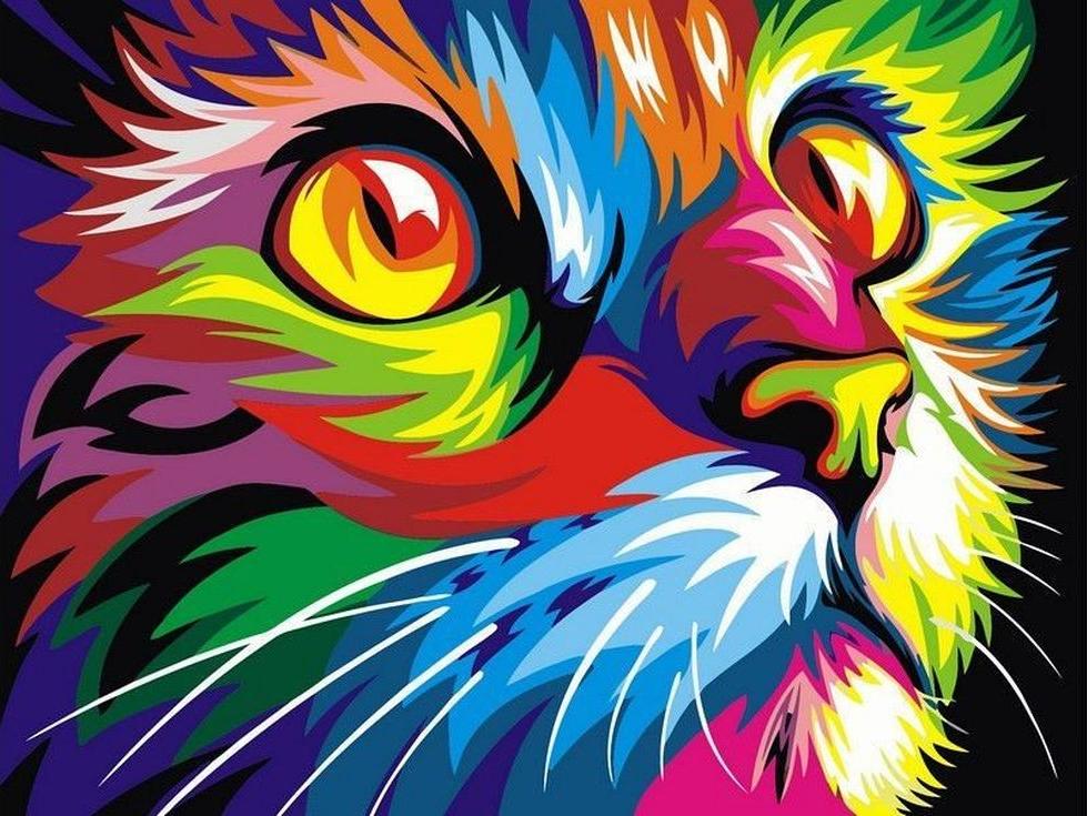 Картина по номерам Paintboy Радужный кот, 40x50 см