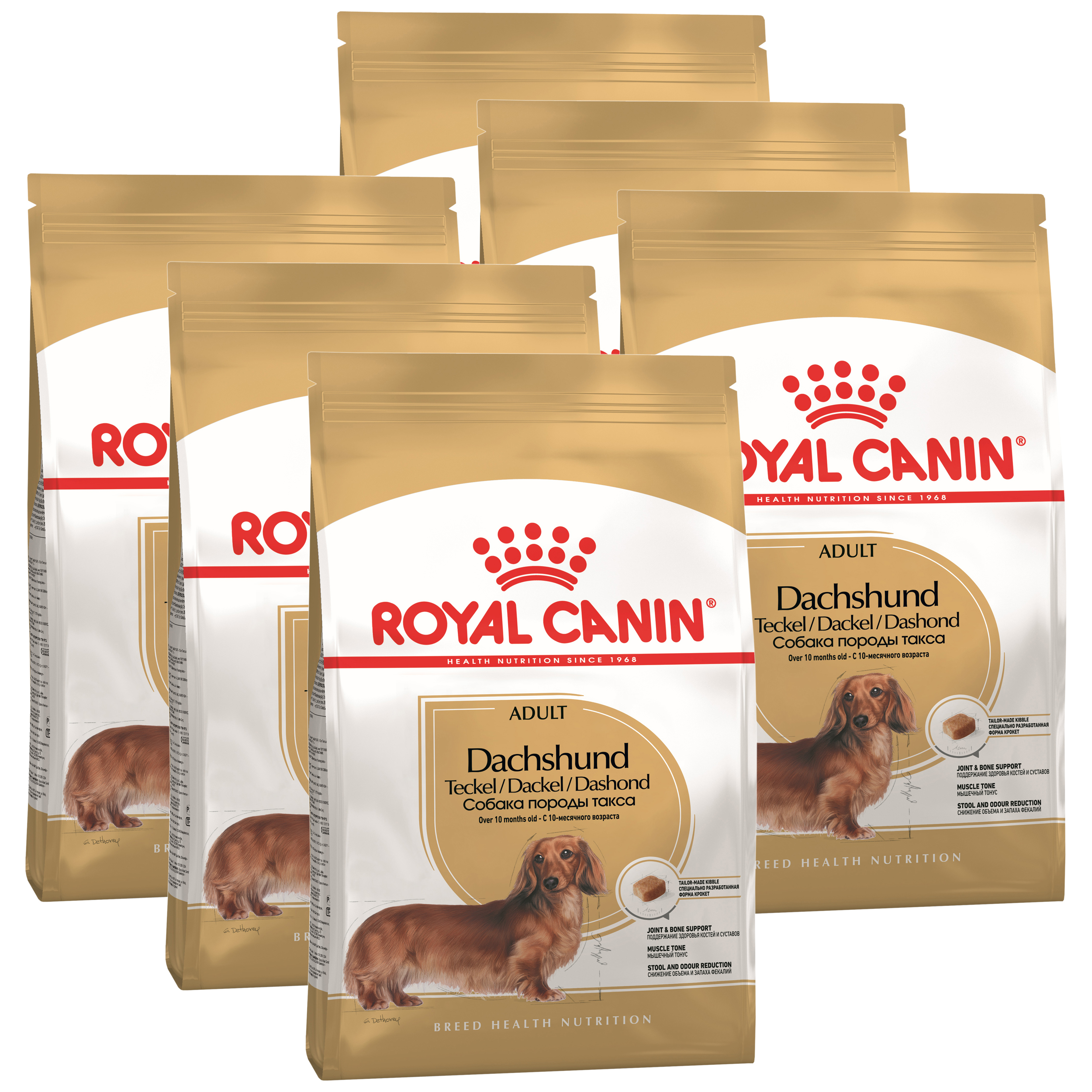 

Сухой корм для собак ROYAL CANIN DACHSHUND ADULT для такс, 6шт по 1,5кг, 4627109382118