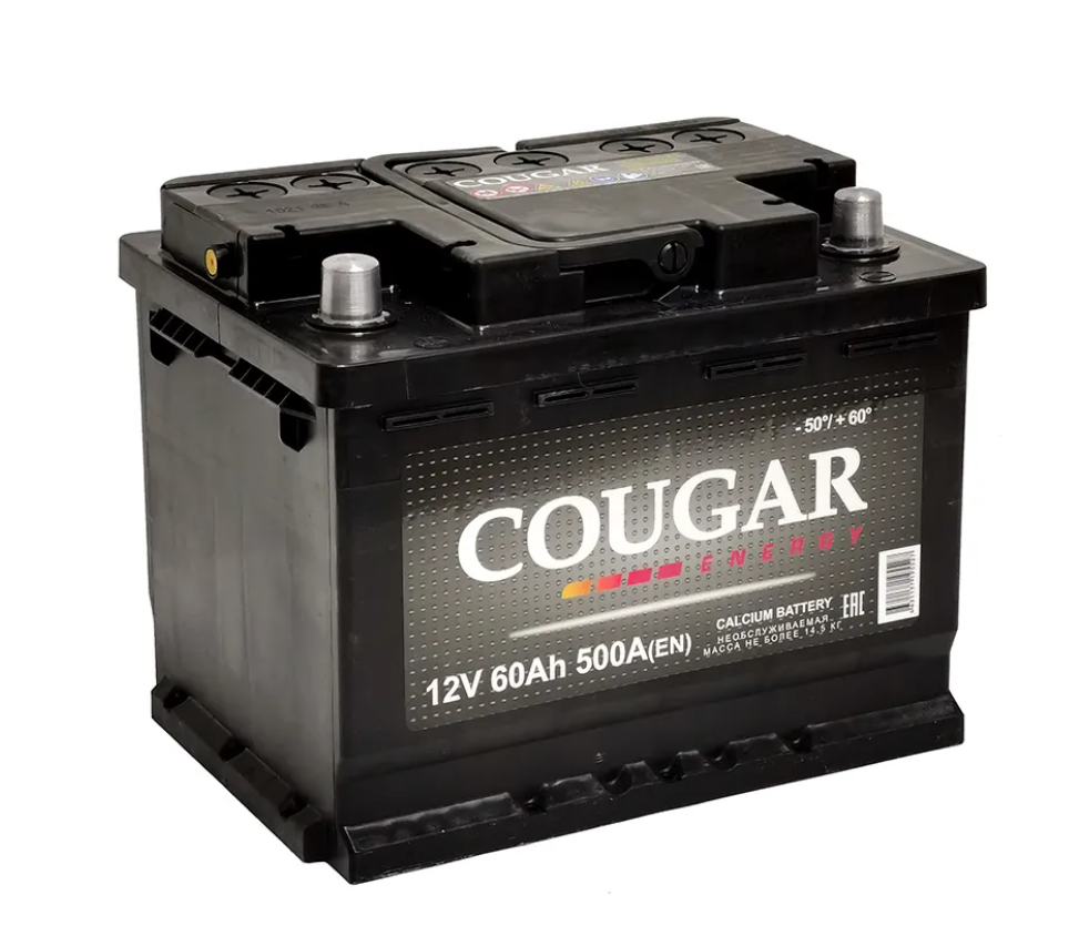 Аккумулятор 60 Прямая [+ -] COUGAR Energy 500A 242/175/175 Толстые