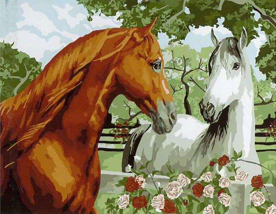

Картина по номерам Paintboy Пара, 40x50 см, Пара