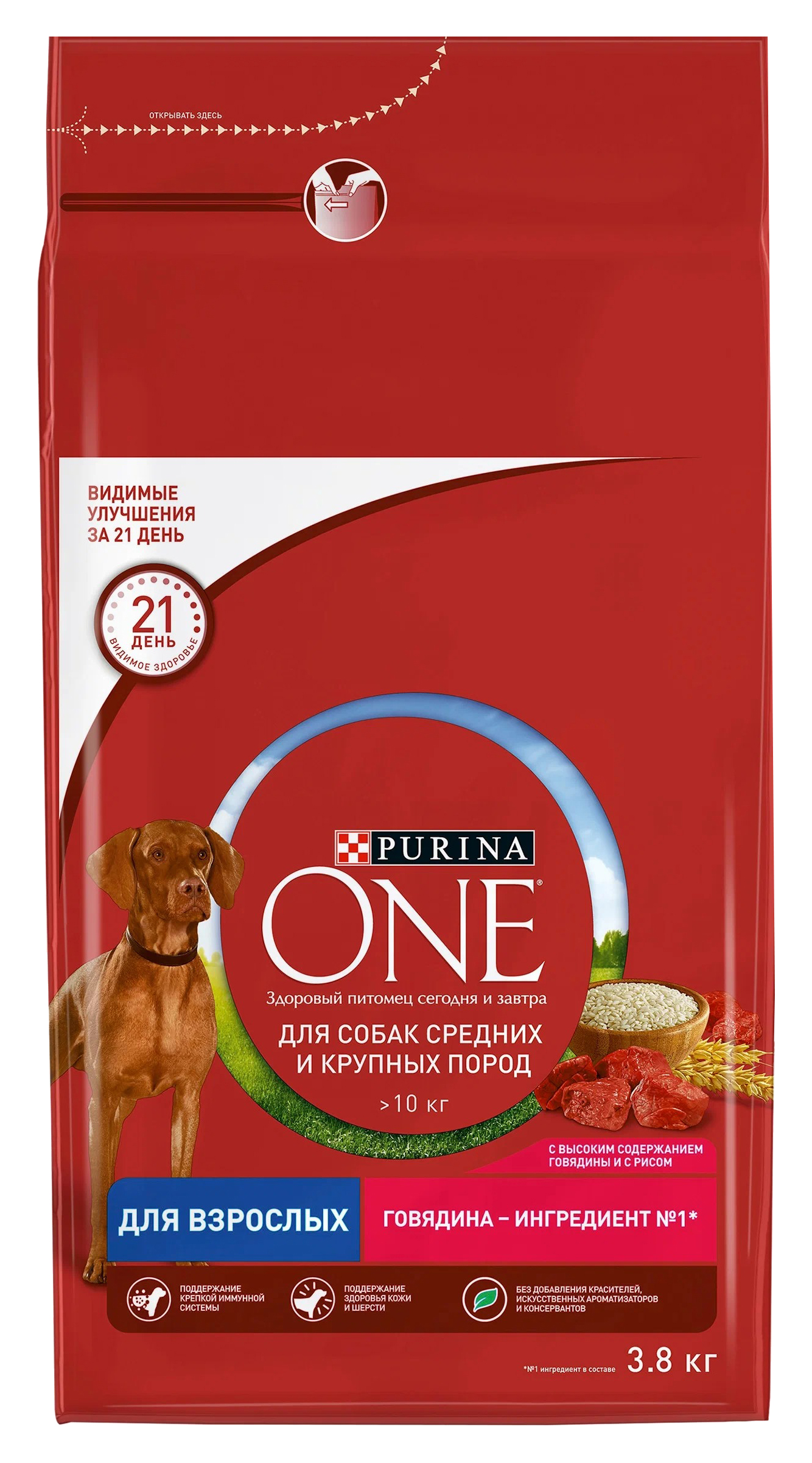 Purina one для собак сухой корм. Purina one корм для собак крупных пород говядина рис. Корм Purina one для собак средних. Purina one для собак собака. Purina one 750гр.