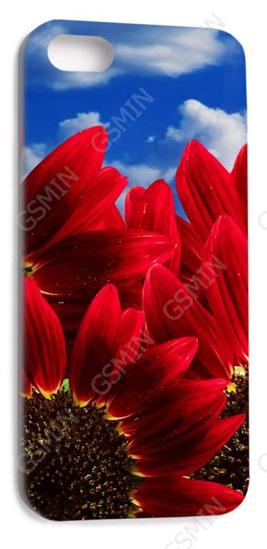 

Чехол NoBrand для Apple iPhone 5 Дизайн 171, Белый