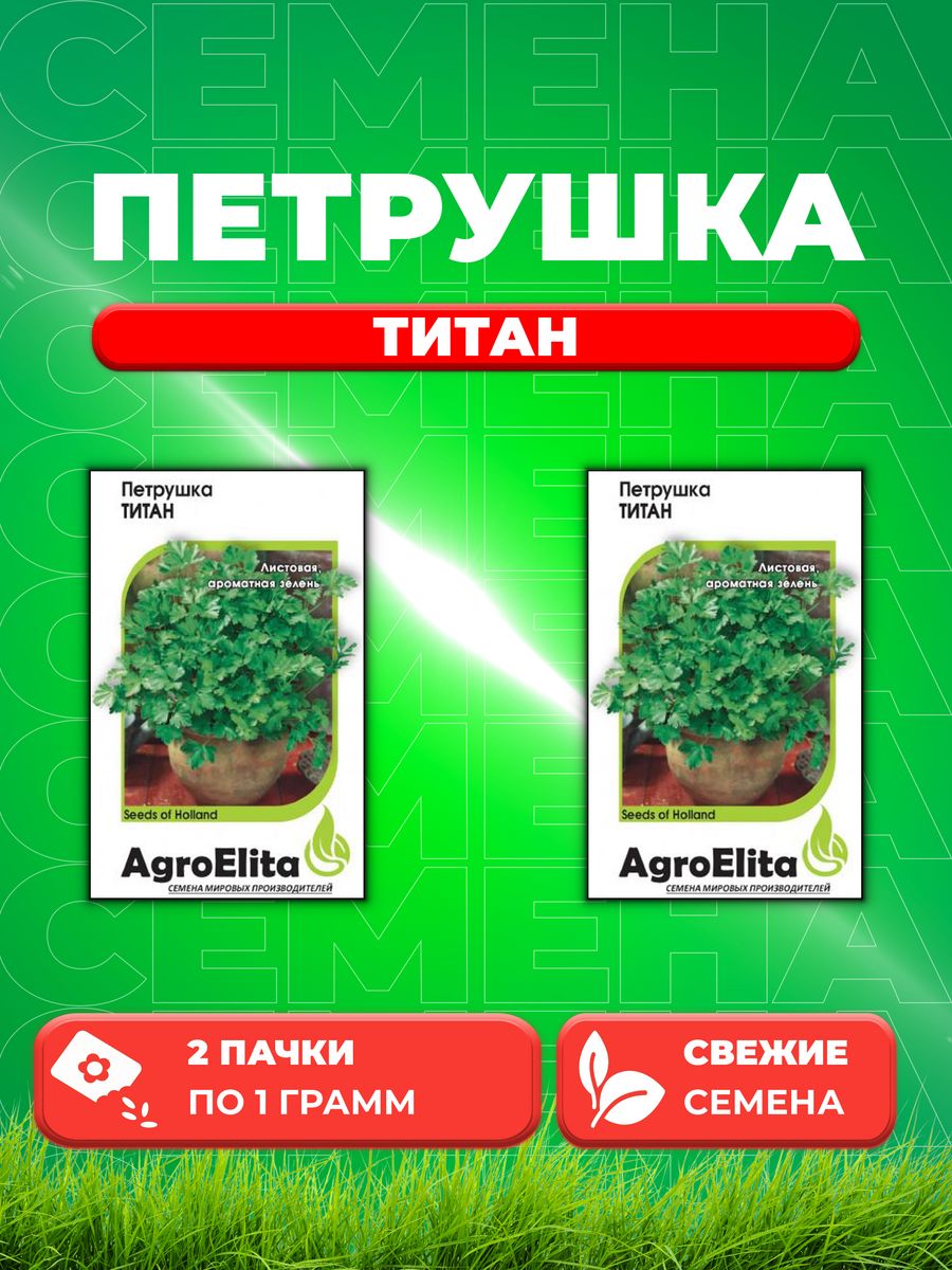 Семена Петрушка листовая Титан, 1,0г, AgroElita, Bejo2уп