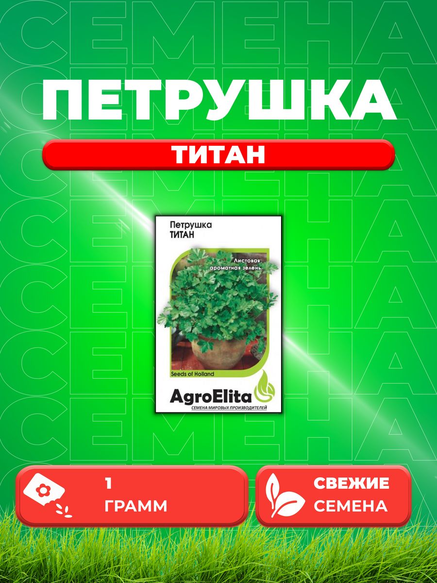 Семена Петрушка листовая Титан, 1,0г, AgroElita, Bejo