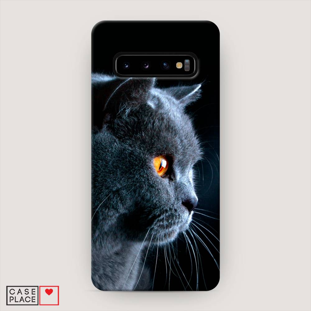 

Пластиковый чехол "Благородный кот британец" на Samsung Galaxy S10, 27020-1