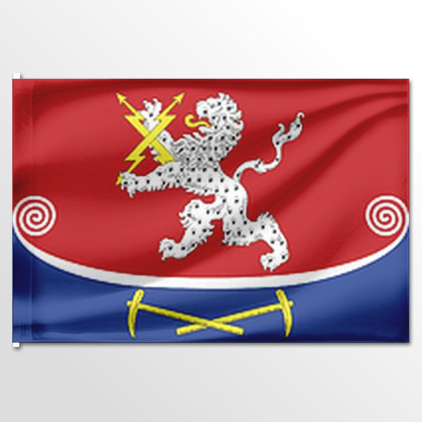 

Флаг ЦТП ФЕНИКС Питкярантского района 135x90 см, 7272-135x90