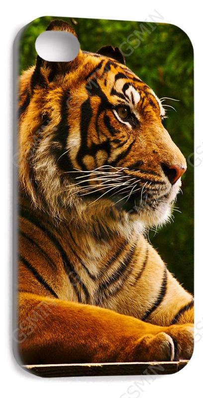 

Чехол NoBrand для Apple iPhone 4 Дизайн 174, Белый