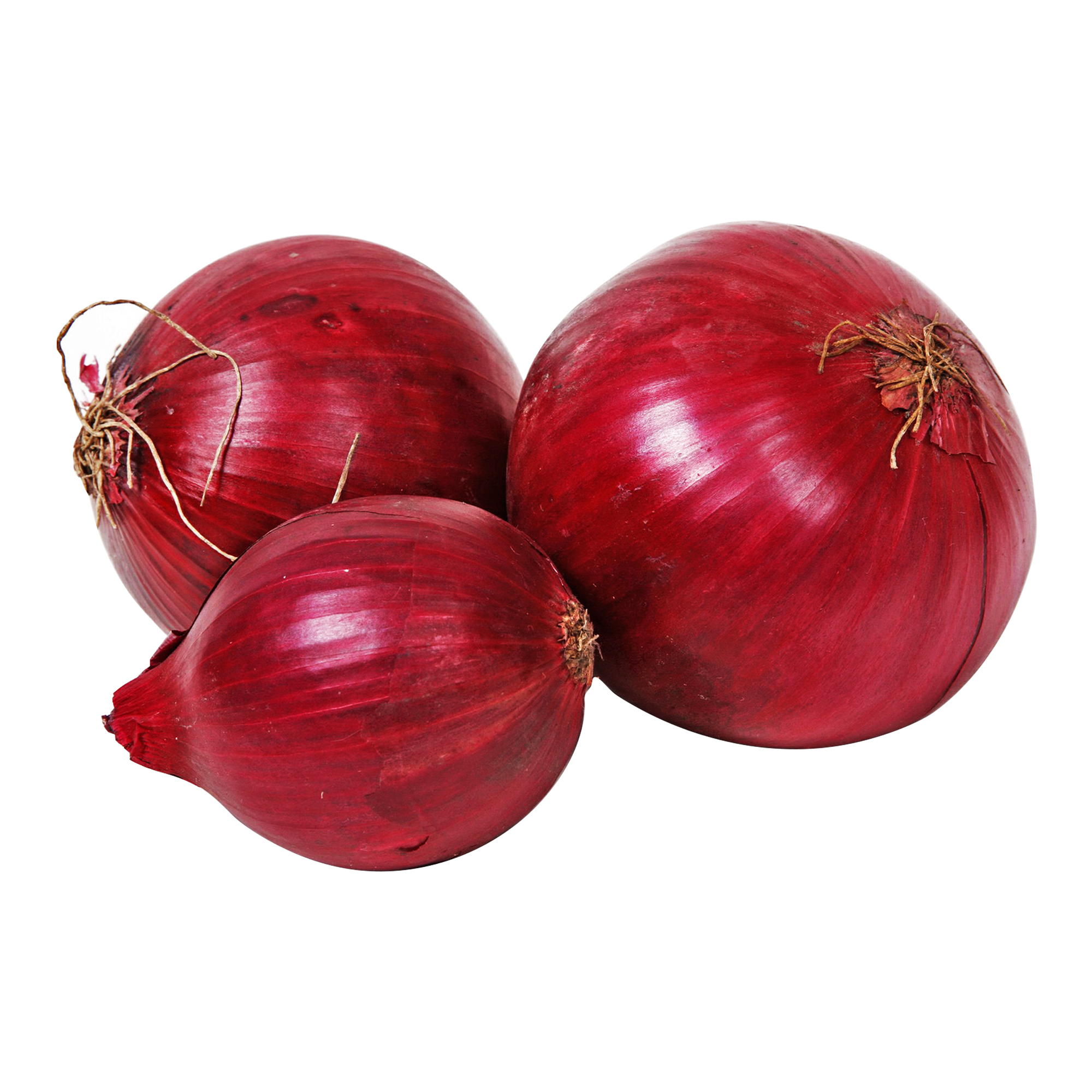 Onion Boott