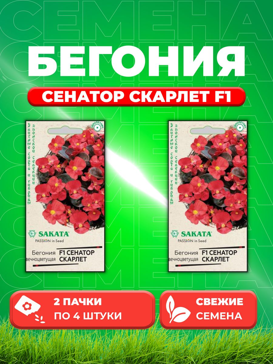 

Семена Бегония Сенатор Скарлет F1 вечноцв. 4 шт.Саката 2уп