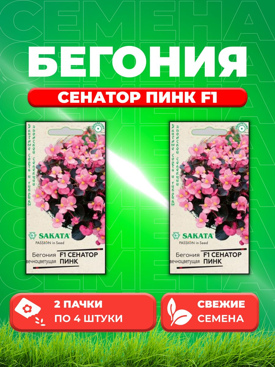 

Семена Бегония Сенатор Пинк F1 вечноцв. 4 шт.Саката 2уп