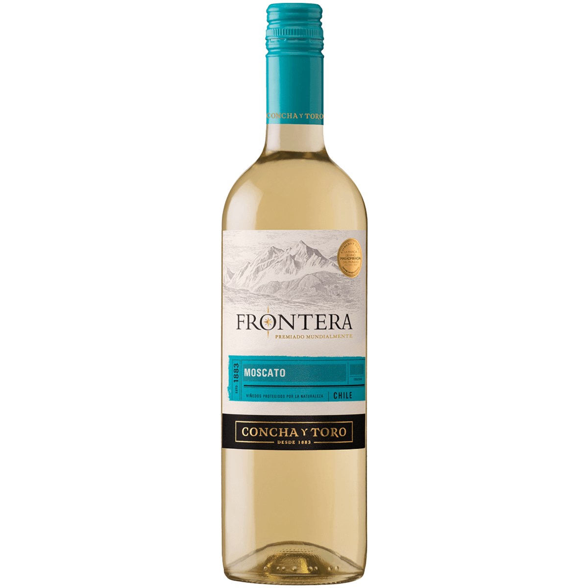 Вино Frontera Sauvignon Blanc. Вино Совиньон белое сухое 0.75. Вино Фронтера Совиньон Блан белое полусухое. Пино Гриджио Совиньон.