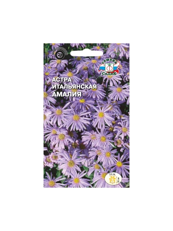 

цветок Астра Амалия (итальянская, сиреневая) . Евро, 0,1