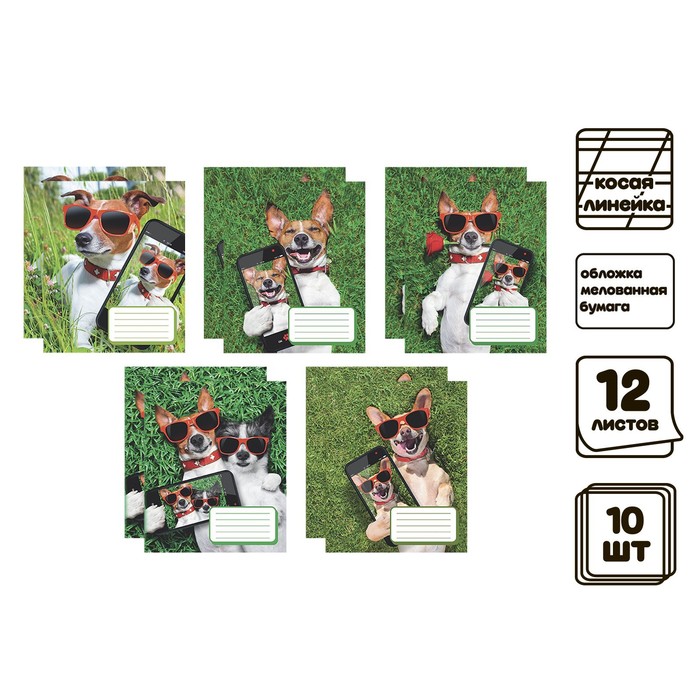 

Calligrata Компл тетр из 10шт 12л кос лин СелфиDOG, обл мел бум, ВД-лак, бл №2 (9492368)