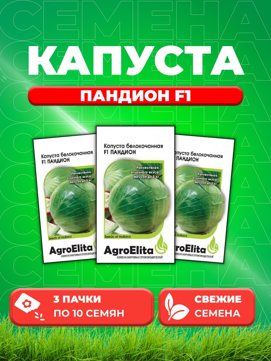 

Семена капуста белокочанная Пандион F1 AgroElita 1912236850-3 3 уп.