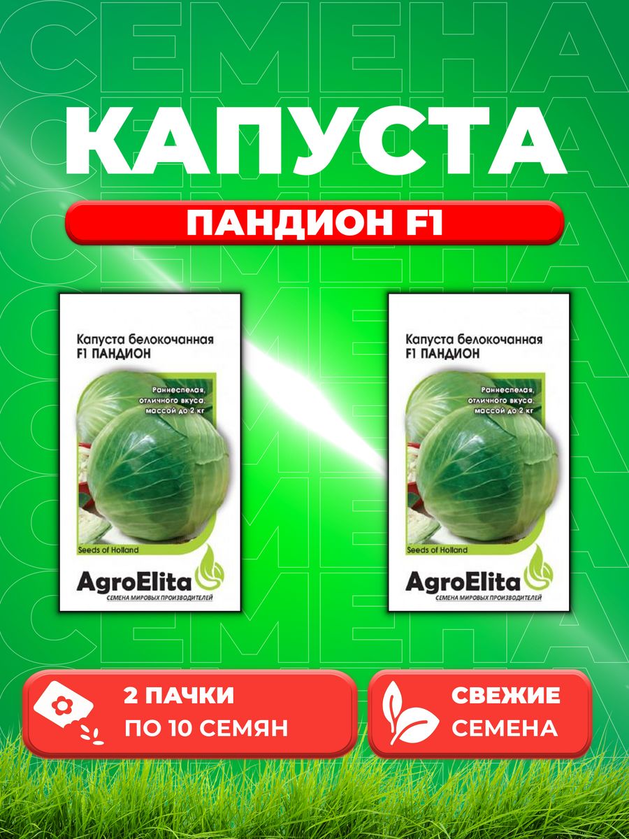 

Семена капуста белокочанная Пандион F1 AgroElita 1912236850-2 2 уп.