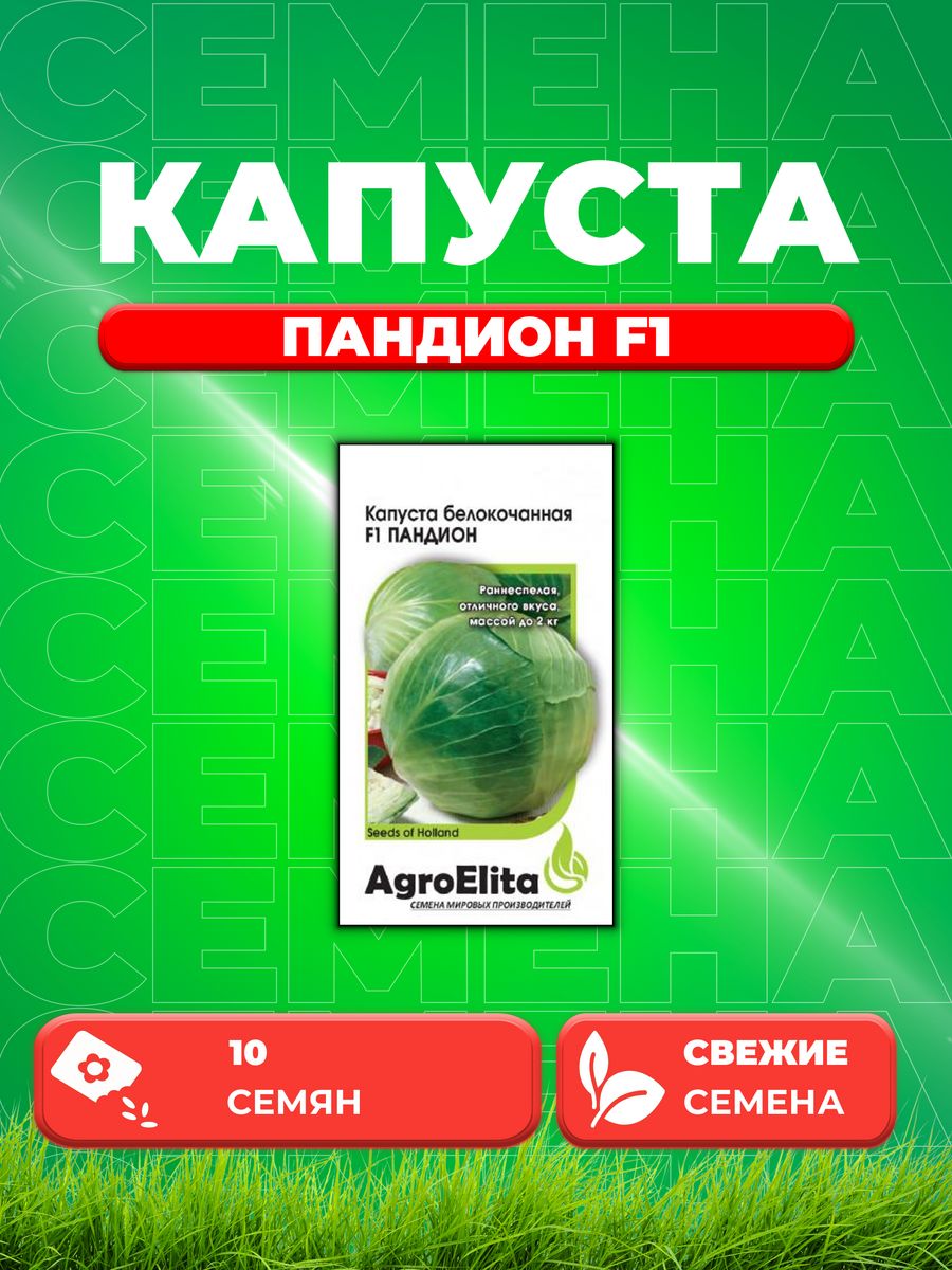 

Семена капуста белокочанная Пандион F1 AgroElita 1912236850-1 1 уп.