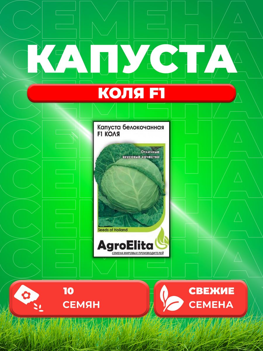 

Семена Капуста белокочанная Коля F1 10шт, AgroElita, Seminis