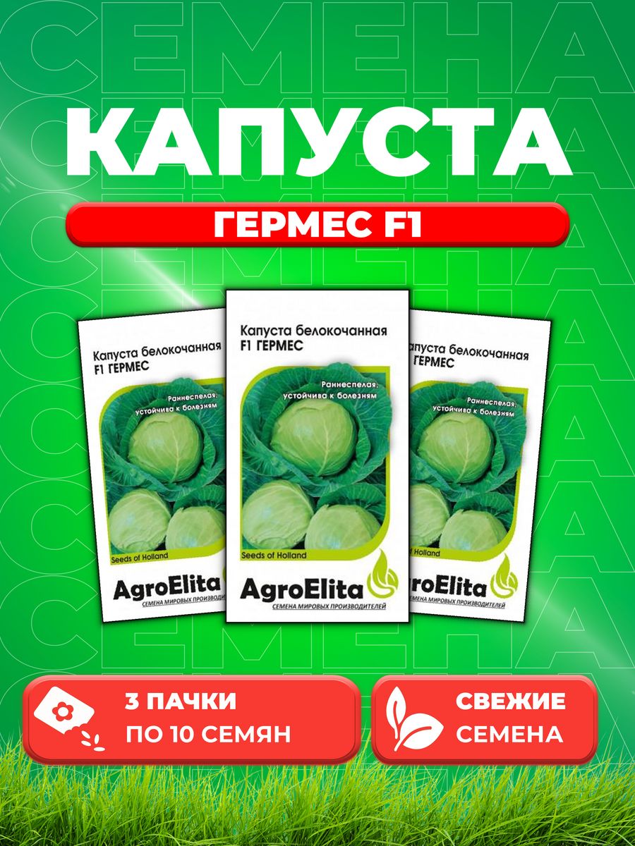 

Семена капуста белокочанная Гермес F1 AgroElita 1912236847-3 3 уп.