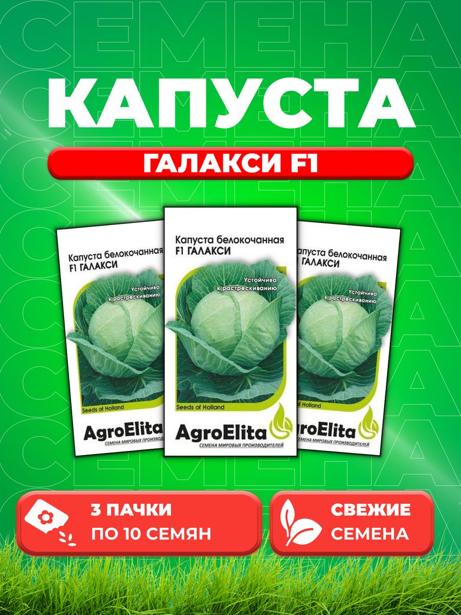 

Семена капуста белокочанная Галакси F1 AgroElita 1912236844-3 3 уп.