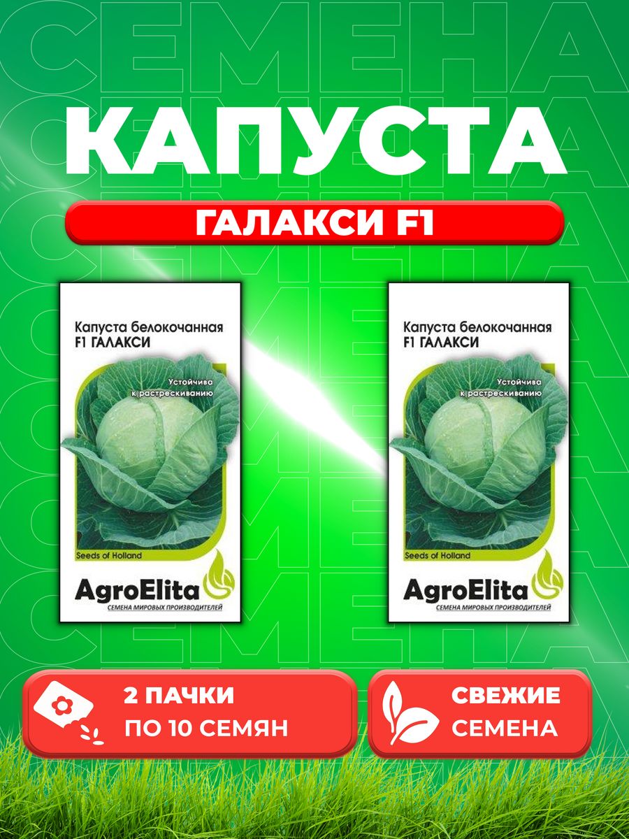 

Семена капуста белокочанная Галакси F1 AgroElita 1912236844-2 2 уп.