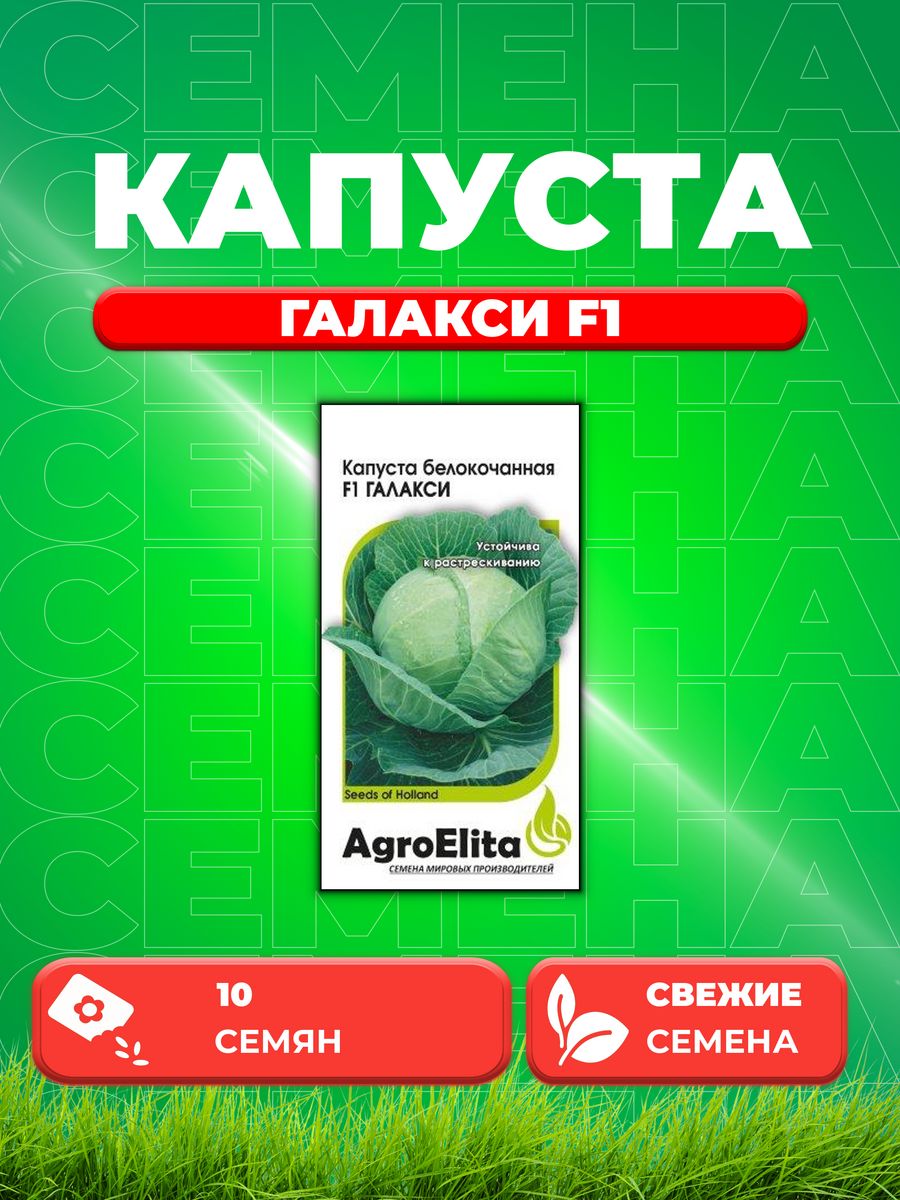 

Семена капуста белокочанная Галакси F1 AgroElita 1912236844-1 1 уп.