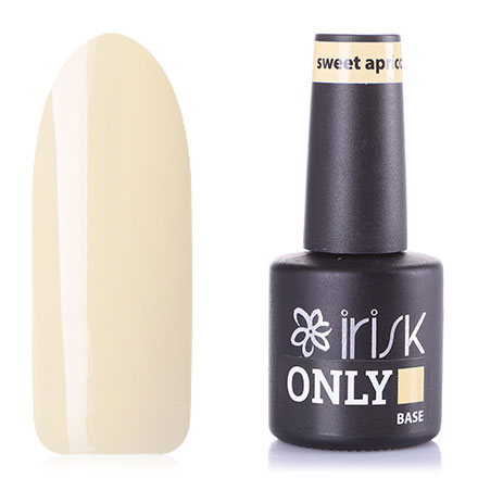 

База IRISK Only №01