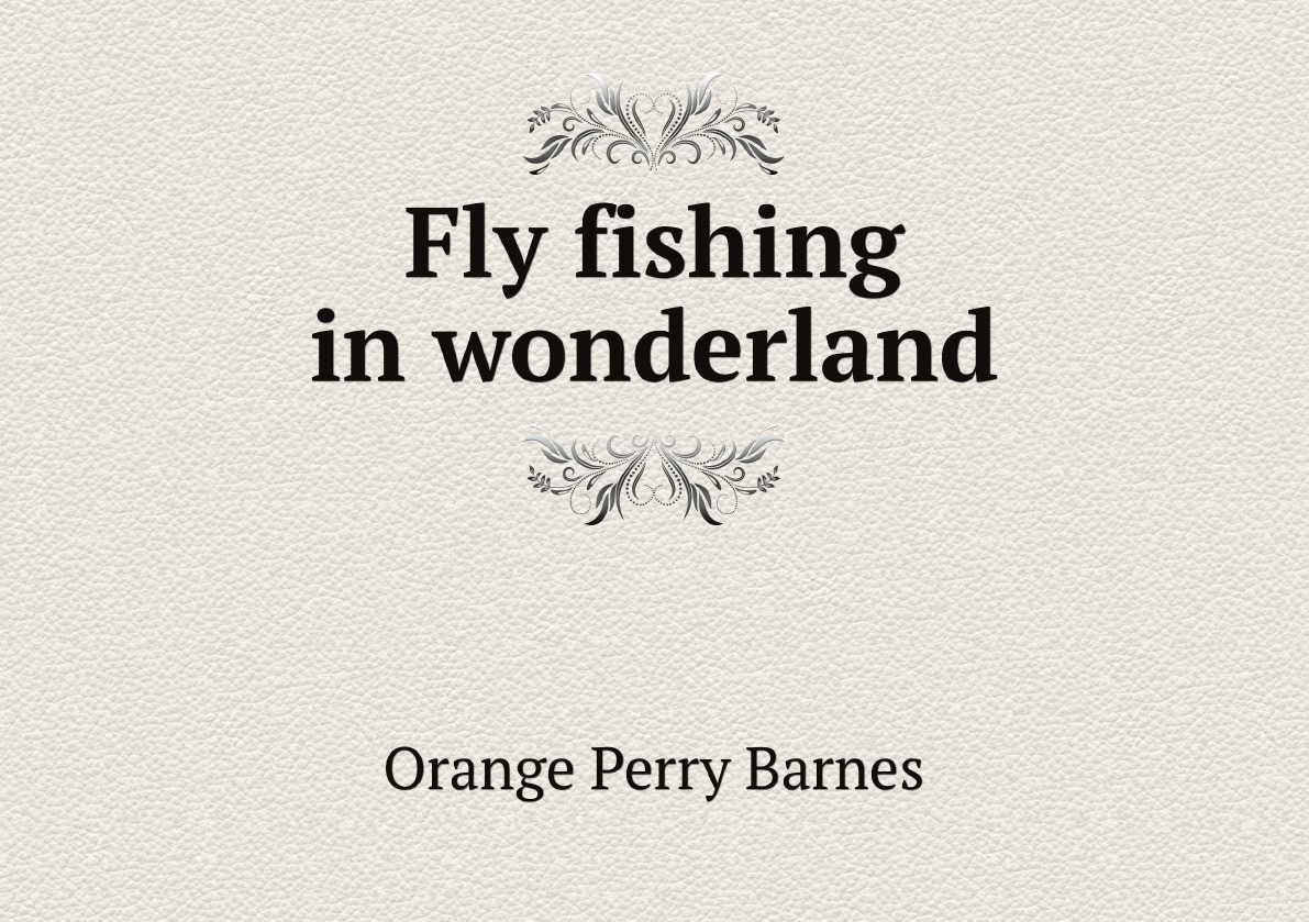 

Fly fishing in wonderland