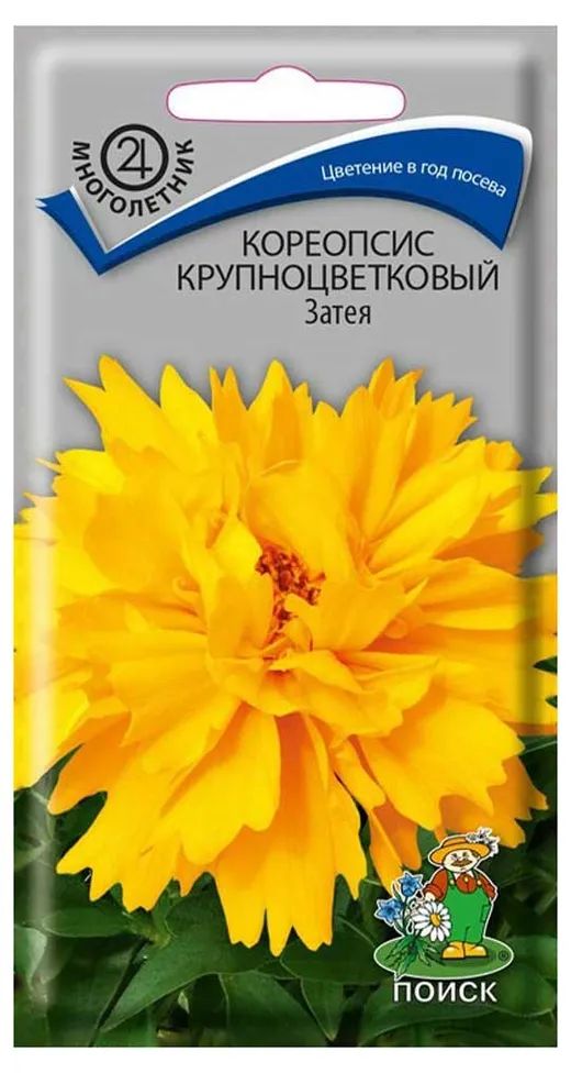 

Семена Кореопсис Поиск Затея крупный