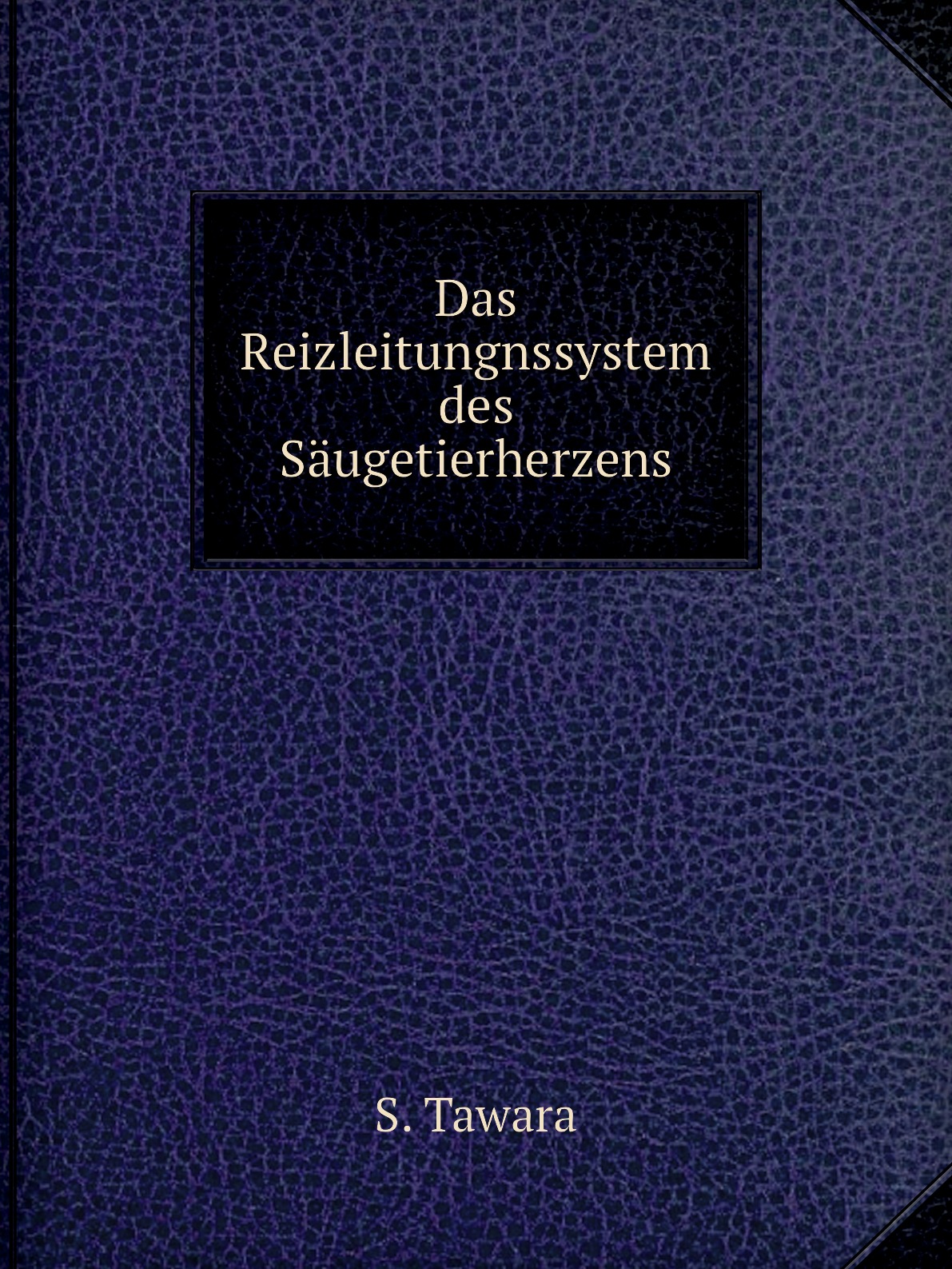

Das Reizleitungnssystem des Saugetierherzens