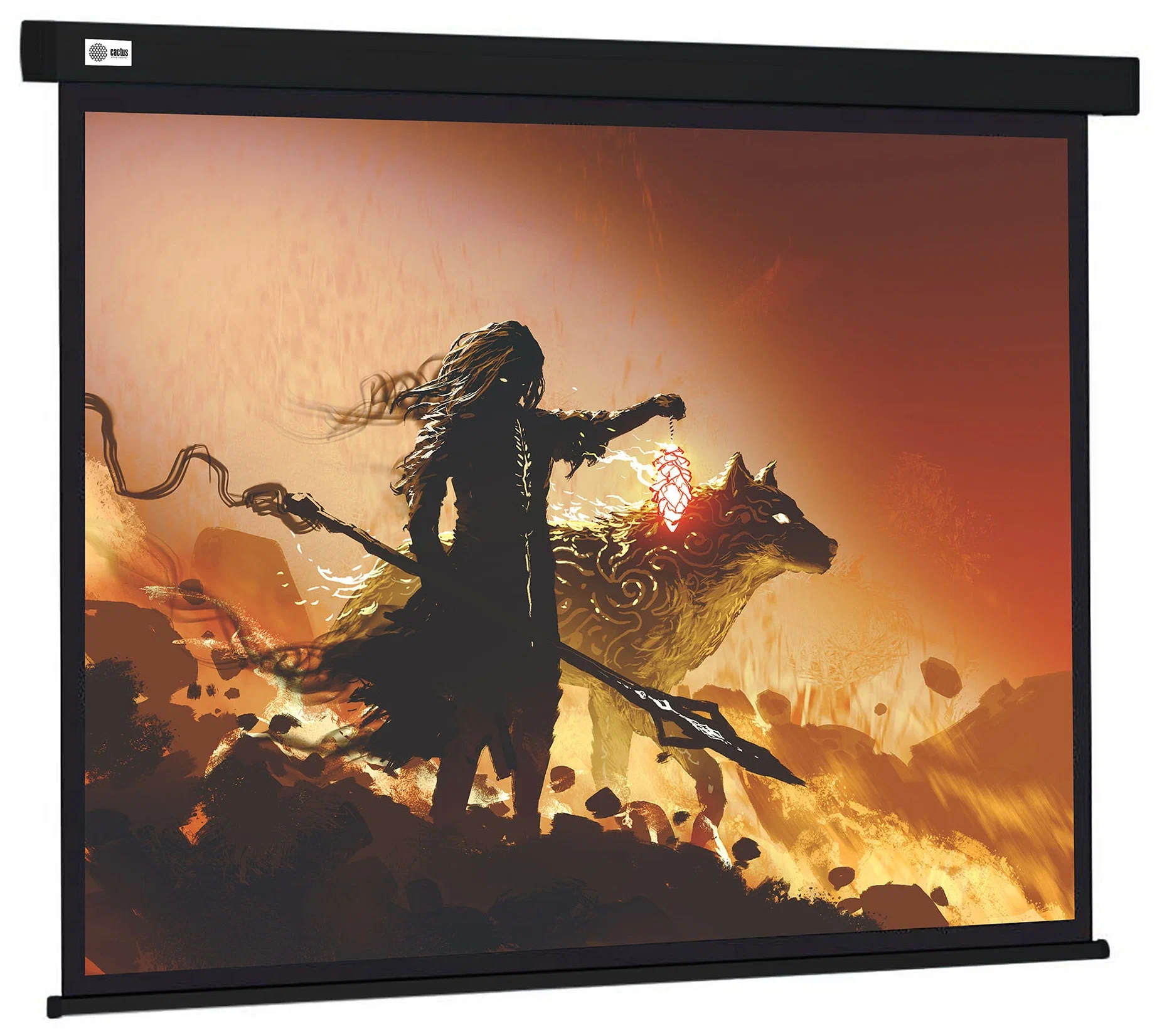 

Экран Cactus 149.4x265.7см Wallscreen CS-PSW-149X265-BK 0,672916666666667